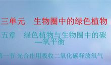 我的人生〔第五十七章〕创造氧气_1000字