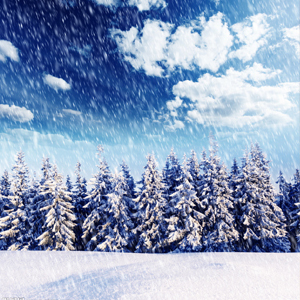 大雪作文：大雪带给我的幸福_700字