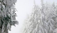 关于大雪的作文：大雪见真情_700字