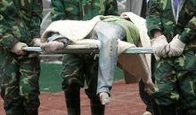 [春天来了]难以忘却的记忆，回味清明_900字