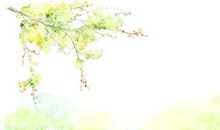 [春天来了]春天的快乐_750字