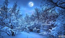 关于大雪的作文：下大雪_600字