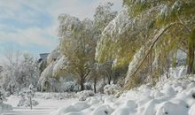 关于大雪的作文：罕见的大雪_400字