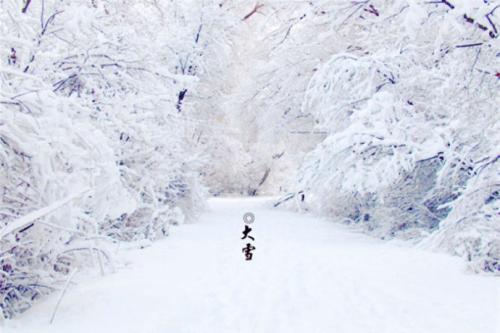 大雪的组成：大雪_900字