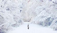 关于大雪的作文：一场大雪_900字