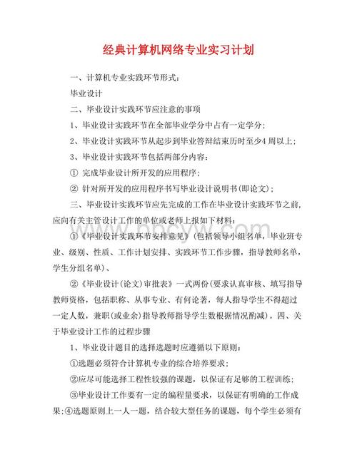 古典计算机网络专业实习计划