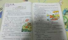 初中生秋游作文：秋游红枫林_750字