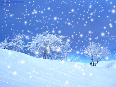 关于雪的构图：雪后..._ 750字