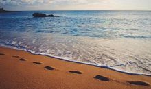 高二叙事散文：隆冬冷月_1500字