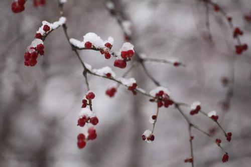 大雪作文：无尽_750字