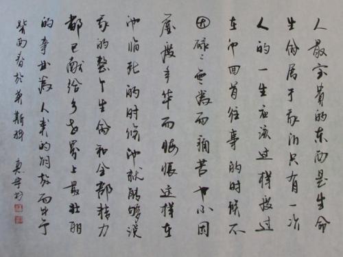 铁战士—阅读《钢铁的制造方法》的思考_1200字