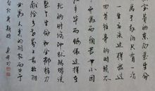 钢铁战士 ——读《钢铁是怎样炼成的》有感_1200字
