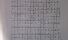 续写《小摄影师》_350字