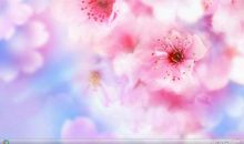 绽放自己的花朵_900字