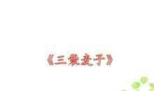 《三袋麦子》续编——种麦子_650字