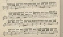 读《人鱼小夜曲》有感_1500字