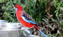 仙境之旅（一）时空通道_700字