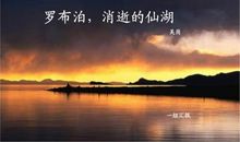 《罗布泊，消逝的仙湖》读后感_500字