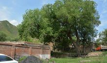 怀念遥远的小乡村_1200字