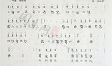 菊花台_800字