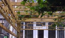 [六月征文]别母校_200字