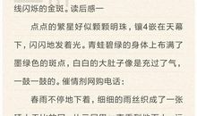 《淘气包日记》读后感_900字
