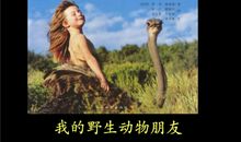读《我的野生动物朋友》后感