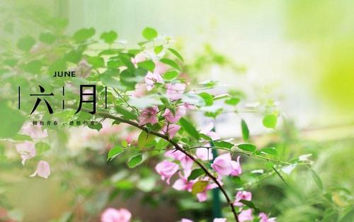 [六月随笔]您好！再见！ _1200字