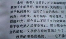 [PK赛]关于秋游的作文：寻找秋天_500字