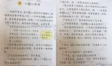 续写《小摄影师》_250字