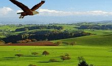 [六月征文]你好！我最亲爱的朋友；再见！我的奶奶。_550字