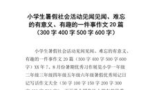 难忘的一件事_300字