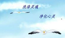 阅读让我们的灵魂走向高远_1000字