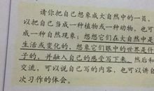 关于规则的作文：规则_900字