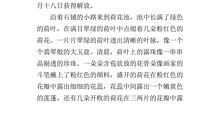 五年级话题作文：感恩无价（二）_500字