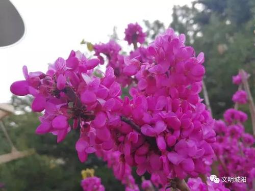 [超新星初中组]最美的阳光_550字