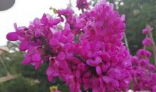 [超新星初中组]最美的阳光_550字