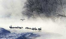 [超新星初中组]冬?雪?生命_1500字