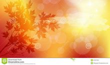 [超新星初中组]秋天的风_1000字