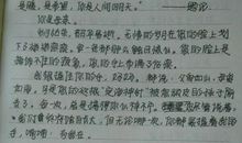 五年级话题作文：亲情_400字