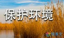 高二议论文：我论屈原_650字