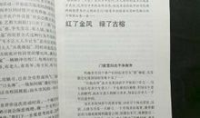 高二议论文：换一种眼光，另一种感悟_900字