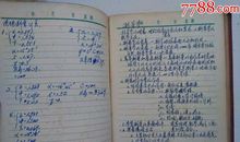 四年级日记：新世纪游玩日记_350字