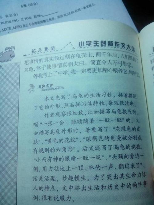 四年级日记：今天我做饭_350字