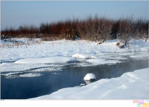 家乡Winter_650字