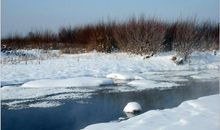 家乡的冬天_650字