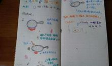 四年级日记：第一次煎荷包蛋_350字