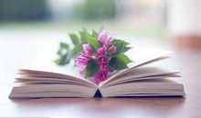 心灵的感悟_650字