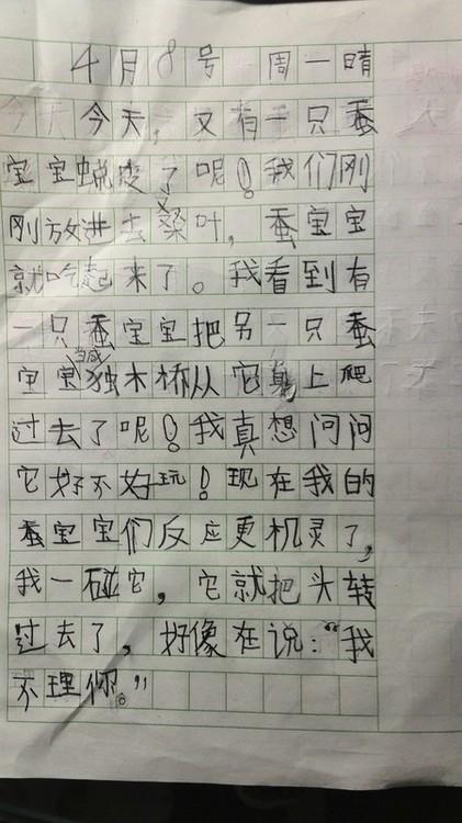 四年级日记：养蚕_350字