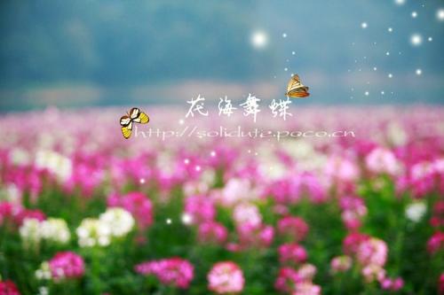 花海_750字